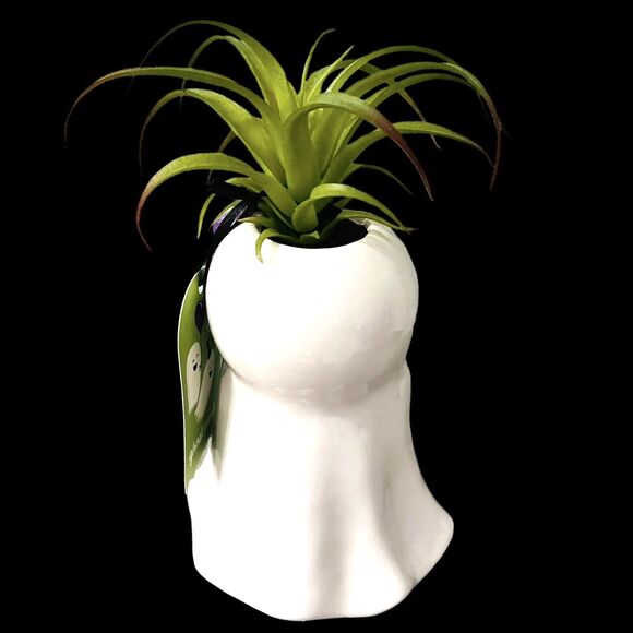 Halloween Girl Mom Black Cat Planter Pot Faux Succulent Plant - Picture 2 of 4